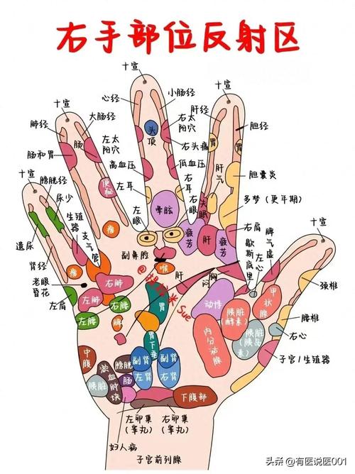 手掌穴位对应器官解读