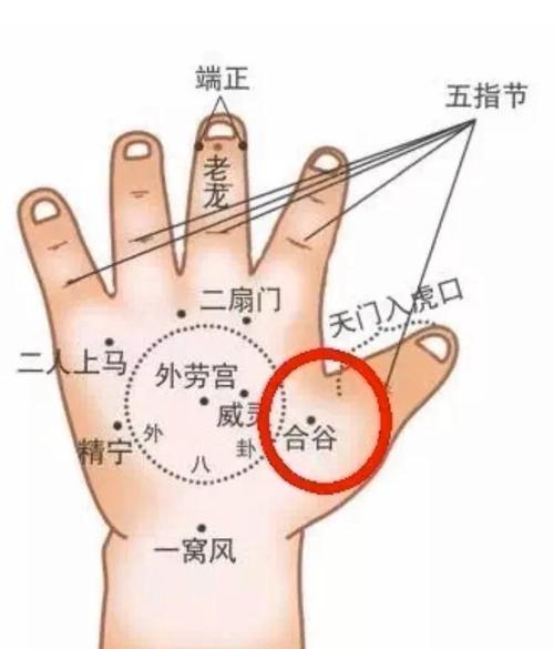 孩子呕吐按摩哪个穴位