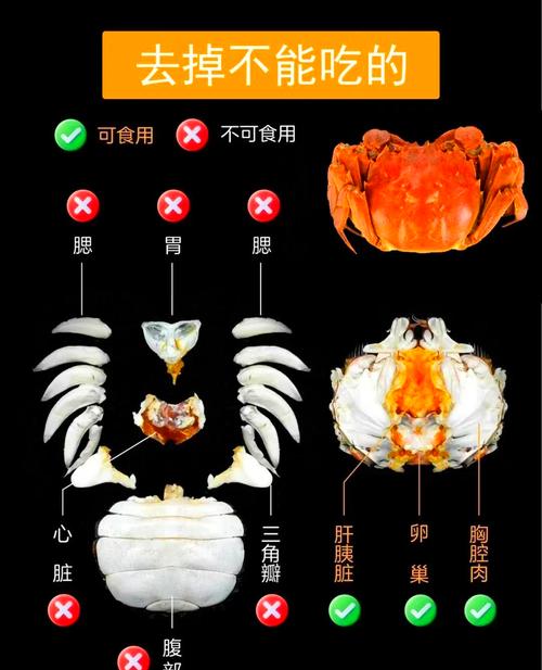 风湿关节炎可以吃螃蟹吗