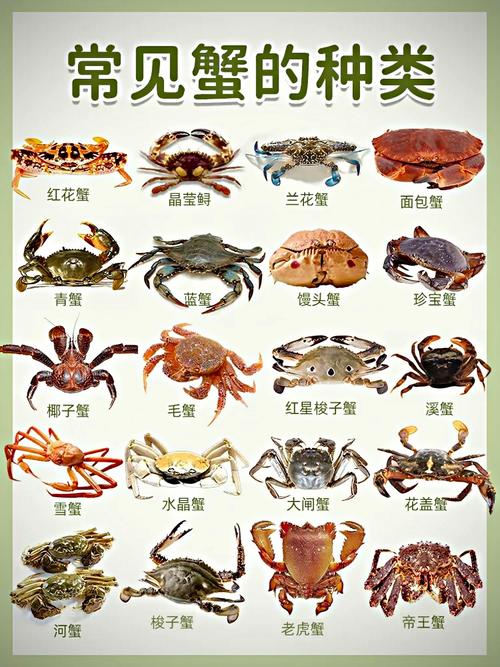 风湿关节炎可以吃螃蟹吗