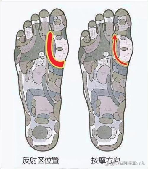 甲状腺对应脚上的穴位