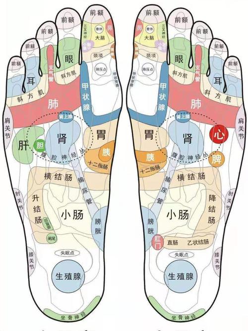 大脚趾内侧穴位 脚气