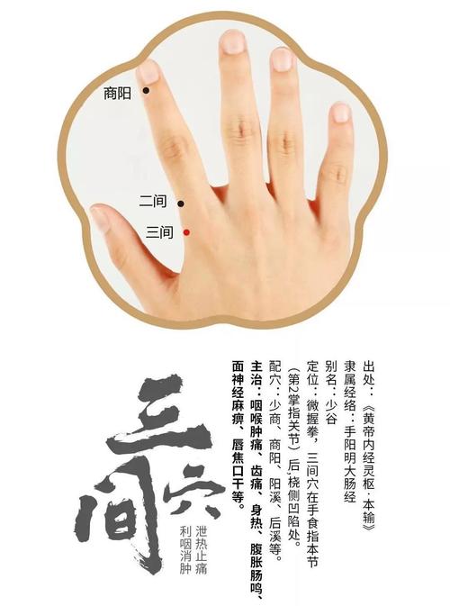 牙龈肿痛艾炙哪个穴位