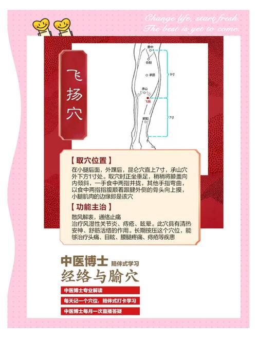 飞扬穴位有伤怎么按摩