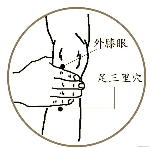 肾虚可以按压哪个穴位