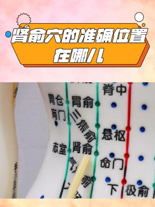 肾虚可以按压哪个穴位