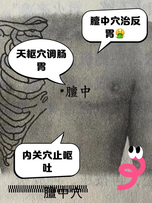 孩子腹痛呕吐按摩穴位