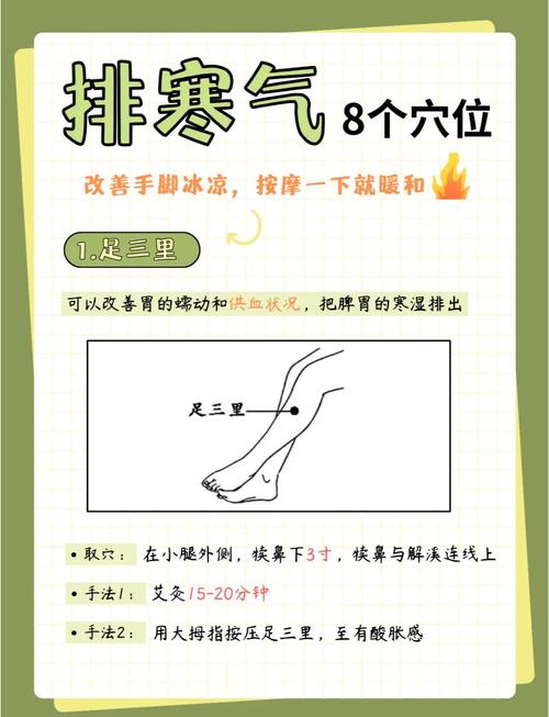 冬天提升 阳气的穴位