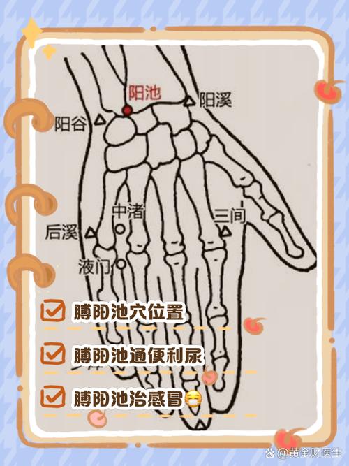 冬天提升 阳气的穴位