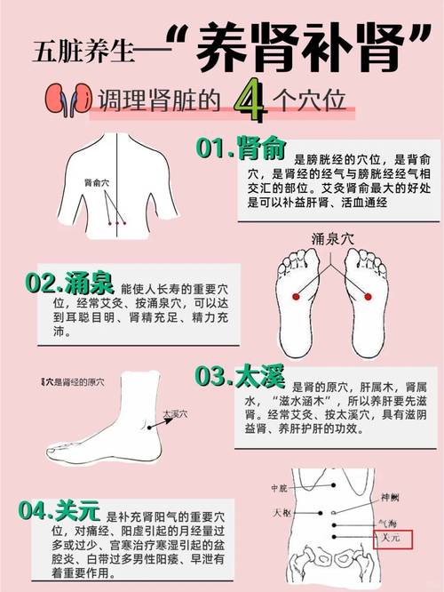 肾虚按摩那个穴位最好