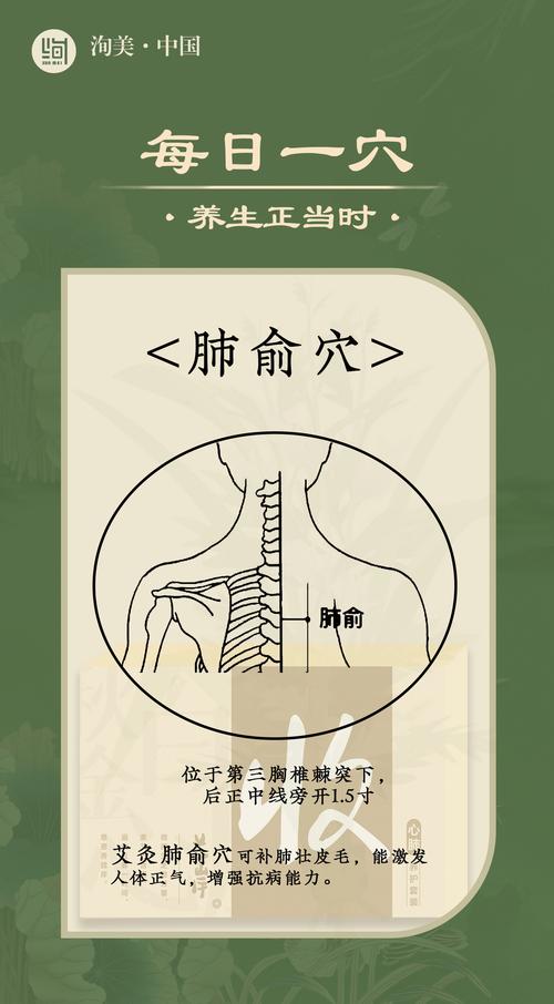 肺气虚 艾灸哪个穴位