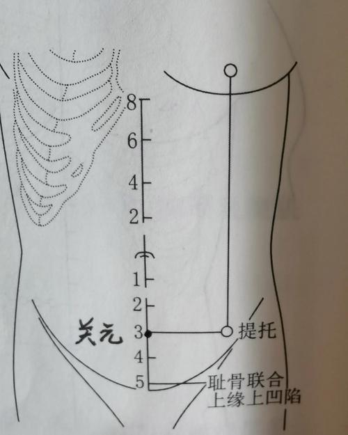 子宫下垂艾灸哪个穴位