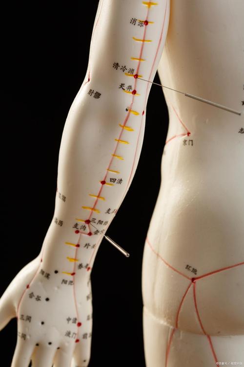 下肢麻木针灸什么穴位