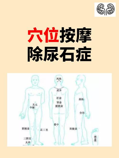 泌尿结石按摩什么穴位