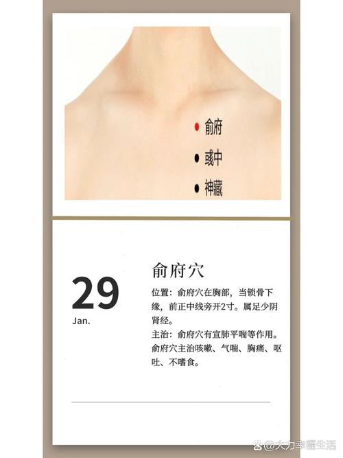 胸痛应该针灸什么穴位