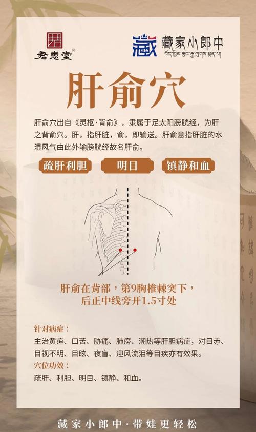 肝俞对应前胸对应穴位