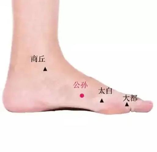 太白 公孙穴位的作用