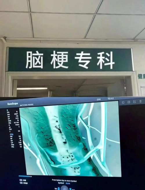 廊坊脑梗康复医院排名