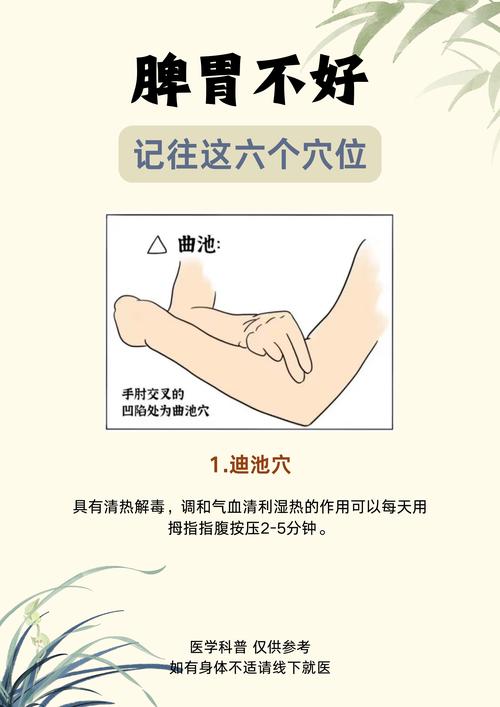 脾胃不好可按什么穴位