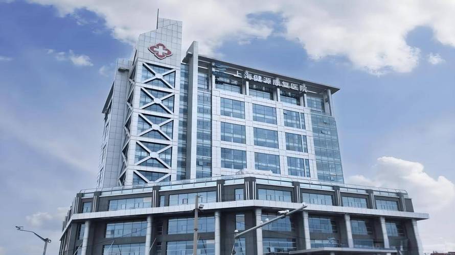 上海公立脑梗康复医院