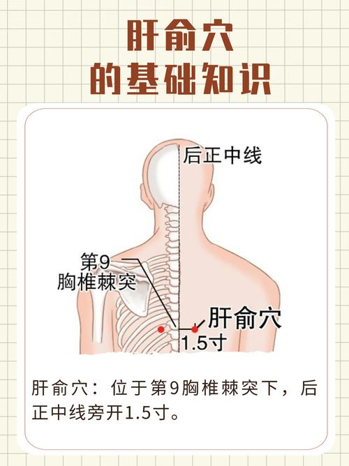 泄肝火 针灸什么穴位