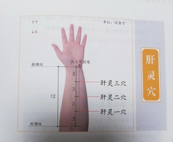 泄肝火 针灸什么穴位