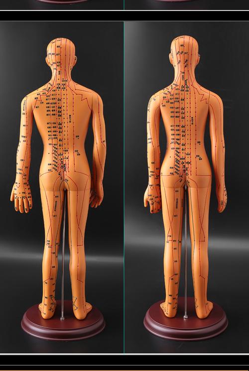 人体全身穴位保健按摩