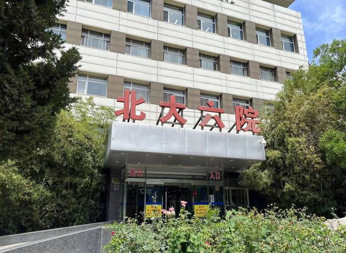 北京 脑梗哪家医院好