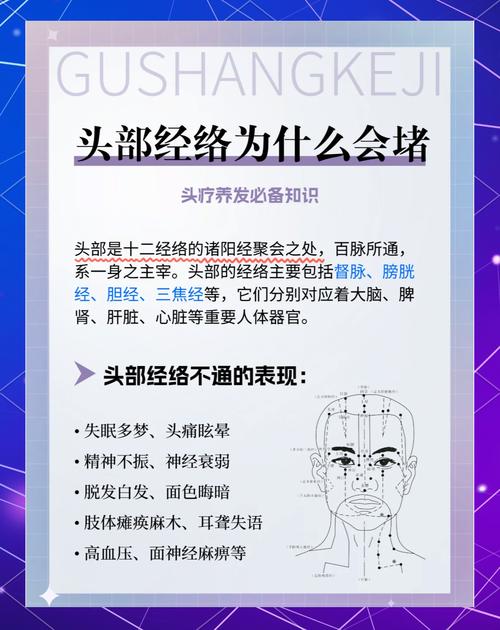 头部穴位经络图解步骤