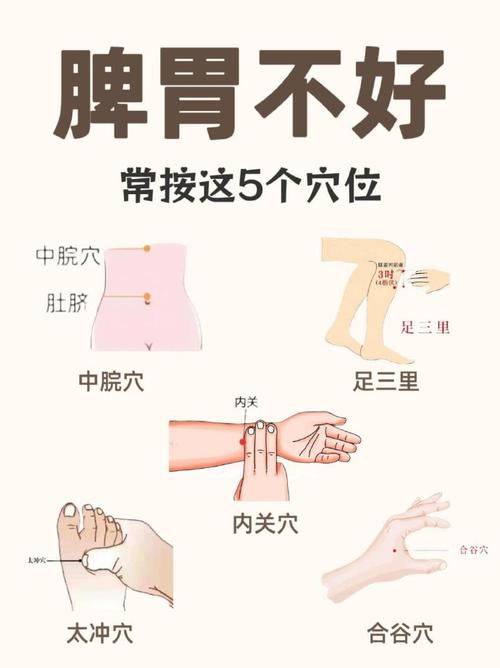 脾胃寒凉按摩什么穴位