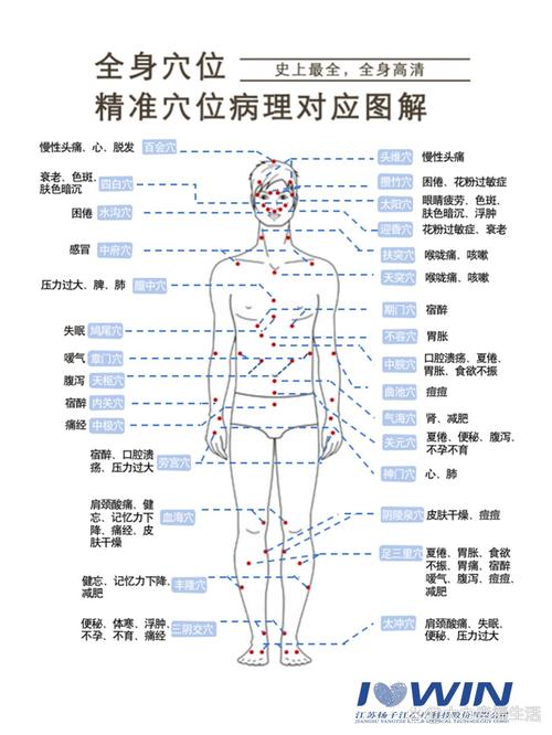 人体穴位经络图解视频