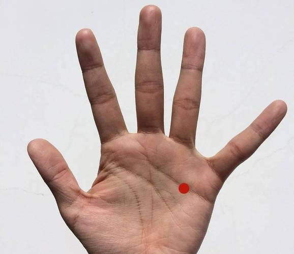 阴道干涩艾灸哪个穴位