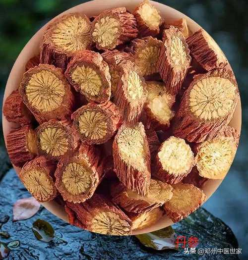 风湿性心脏病的中药治疗