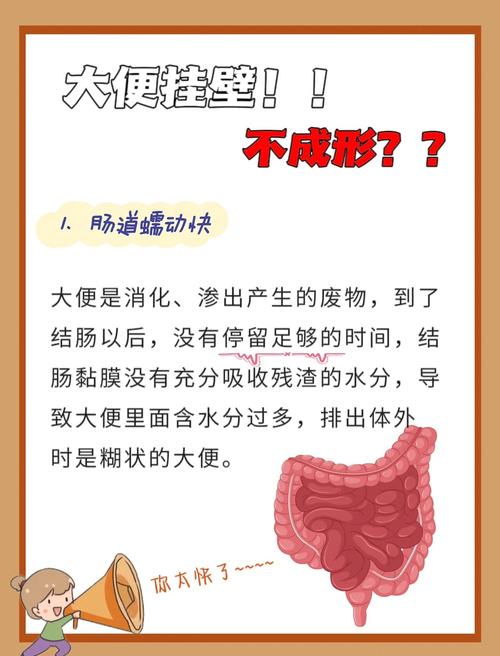 脑梗病人不会自己排便