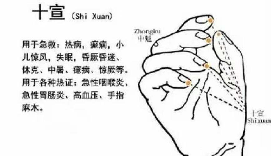 放血疗法60穴位讲解