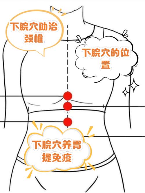 腹胀腹痛按压哪个穴位