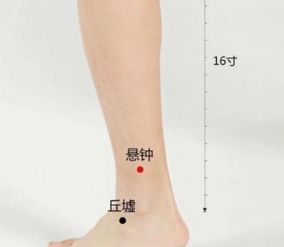 悬钟悬钟穴位位置图片