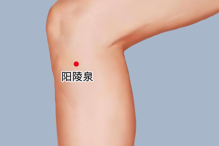 右侧偏瘫针灸哪些穴位