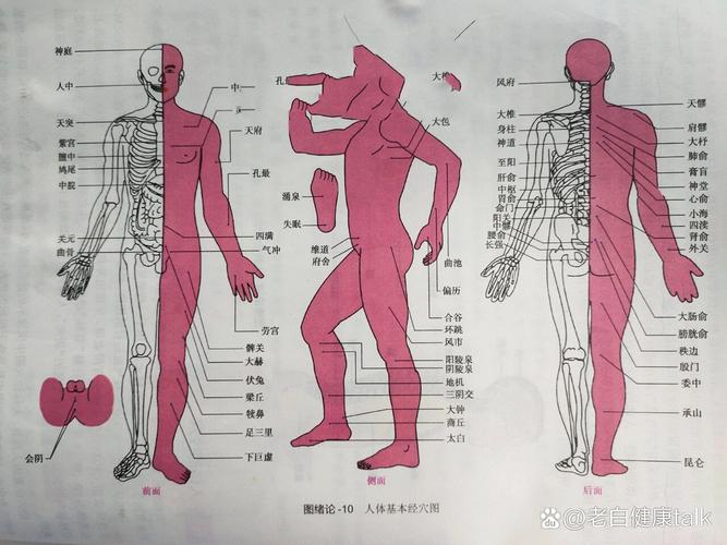 右侧偏瘫针灸哪些穴位