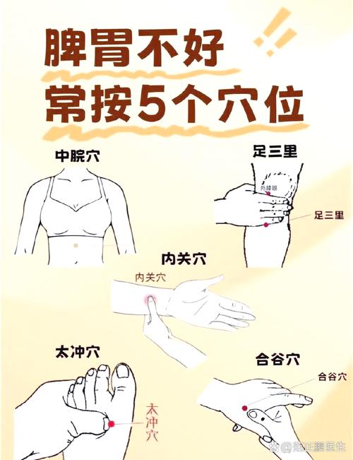 按摩什么穴位降低食欲