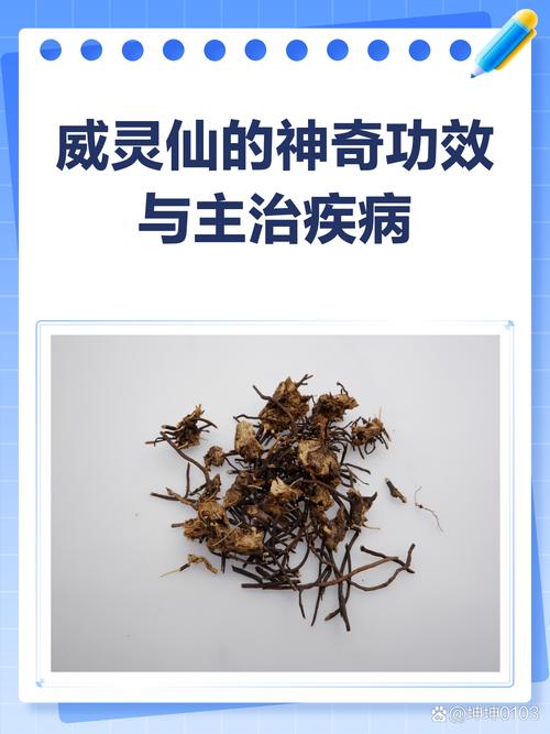 特效风湿灵的功效与作用