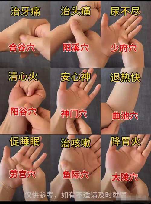 牙齿出血按摩什么穴位