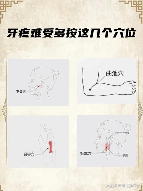 牙齿出血按摩什么穴位