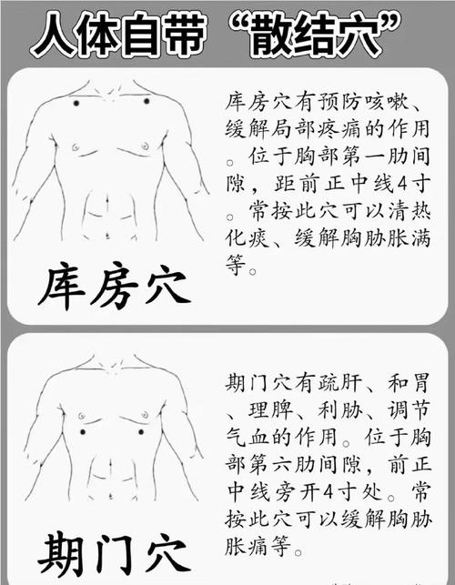 丰胸艾灸哪个穴位有效