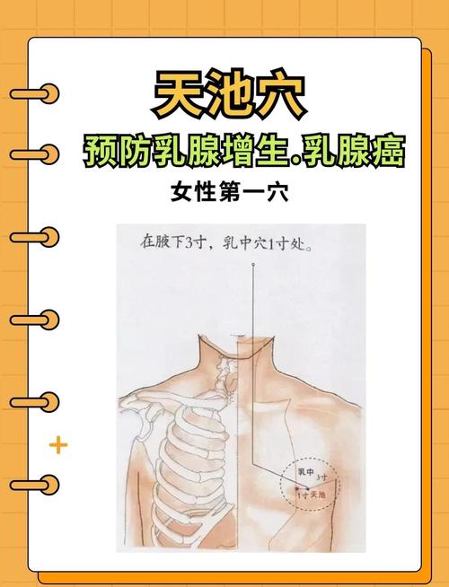 丰胸艾灸哪个穴位有效