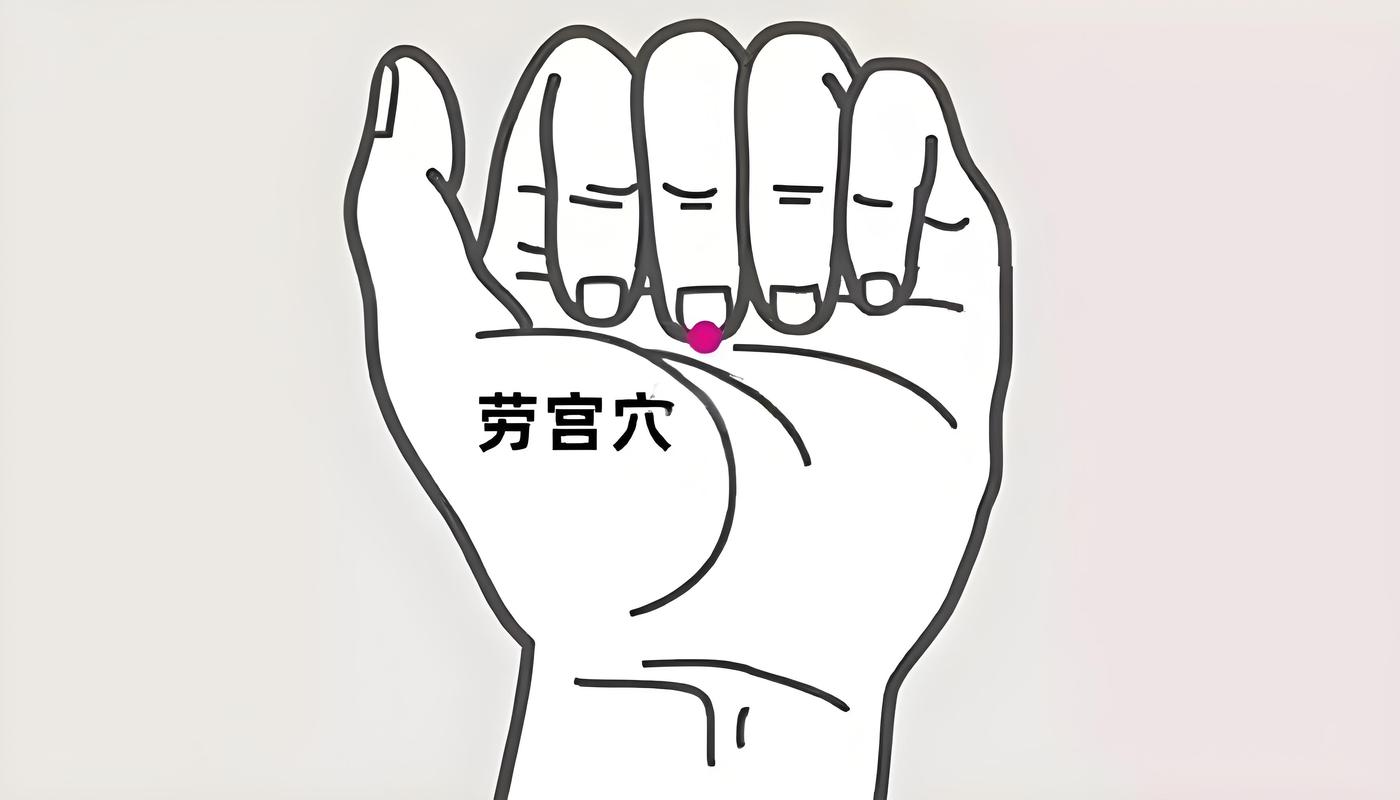 小指外侧基部穴位动画