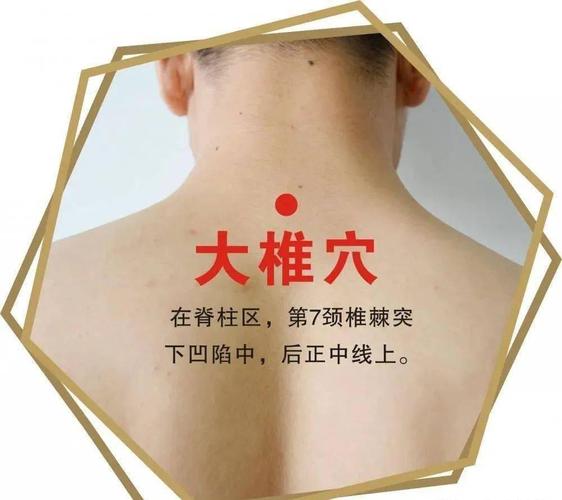 人体穴位经络图 大椎