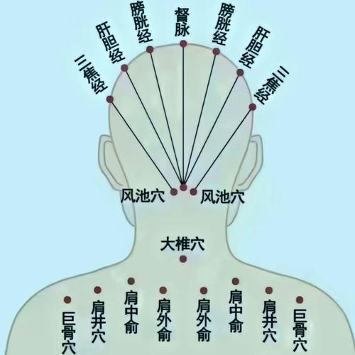 人体穴位经络图 大椎