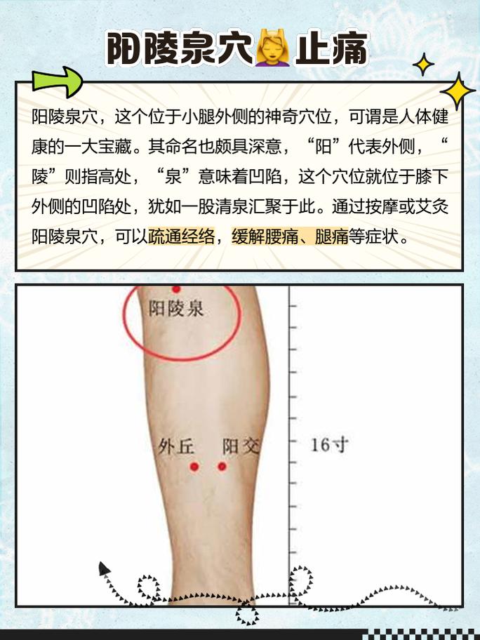 膝盖无力按摩那些穴位