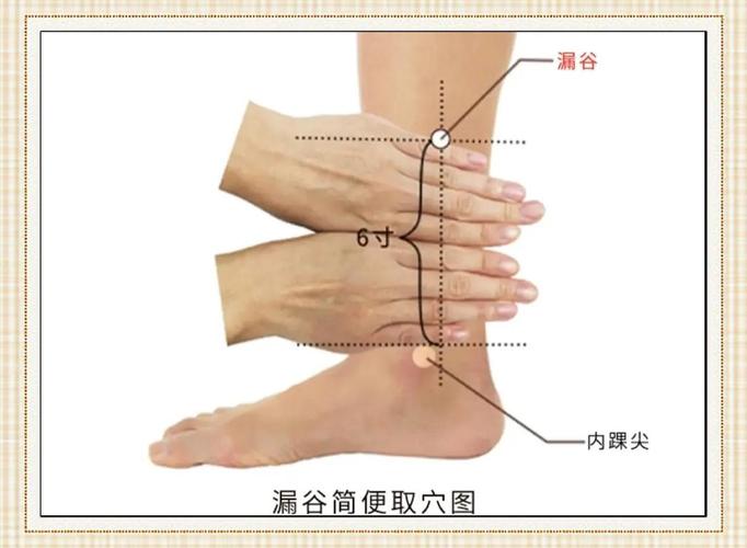 快速利尿的方法 穴位